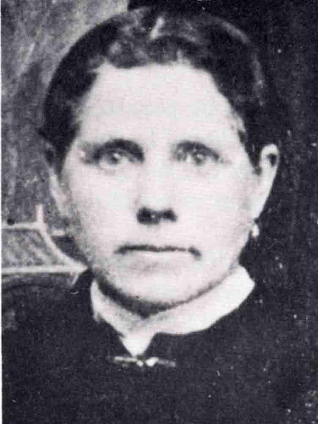 Elvira Jane Mecham (1842 - 1920) Profile